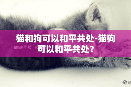 猫和狗可以和平共处-猫狗可以和平共处？