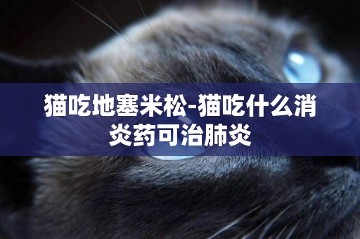 猫吃地塞米松-猫吃什么消炎药可治肺炎