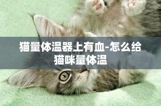 猫量体温器上有血-怎么给猫咪量体温