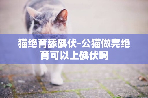 猫绝育舔碘伏-公猫做完绝育可以上碘伏吗