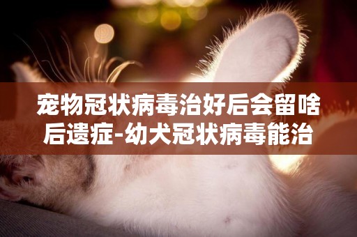 宠物冠状病毒治好后会留啥后遗症-幼犬冠状病毒能治好吗