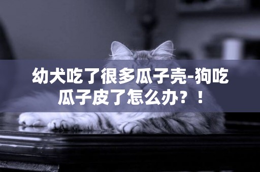 幼犬吃了很多瓜子壳-狗吃瓜子皮了怎么办？！