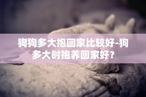 狗狗多大抱回家比较好-狗多大时抱养回家好？