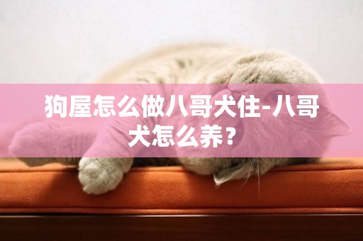 狗屋怎么做八哥犬住-八哥犬怎么养？