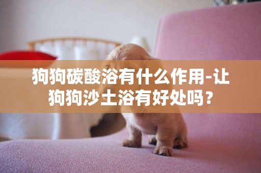 狗狗碳酸浴有什么作用-让狗狗沙土浴有好处吗？