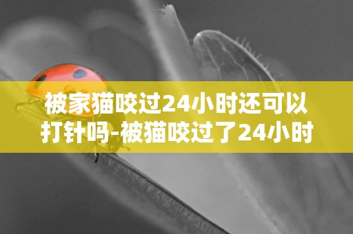 被家猫咬过24小时还可以打针吗-被猫咬过了24小时在打针可以吗