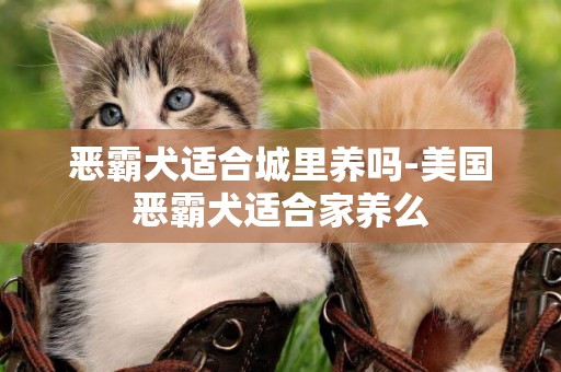 恶霸犬适合城里养吗-美国恶霸犬适合家养么