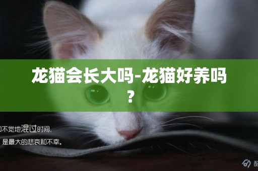 龙猫会长大吗-龙猫好养吗？