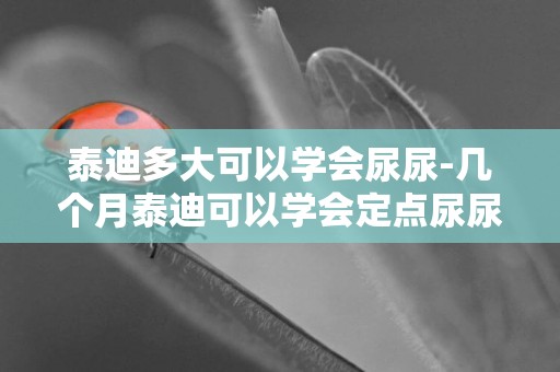 泰迪多大可以学会尿尿-几个月泰迪可以学会定点尿尿