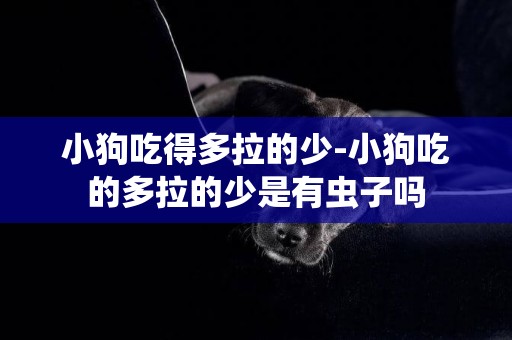 小狗吃得多拉的少-小狗吃的多拉的少是有虫子吗