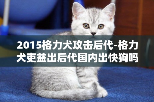 2015格力犬攻击后代-格力犬吏益出后代国内出快狗吗