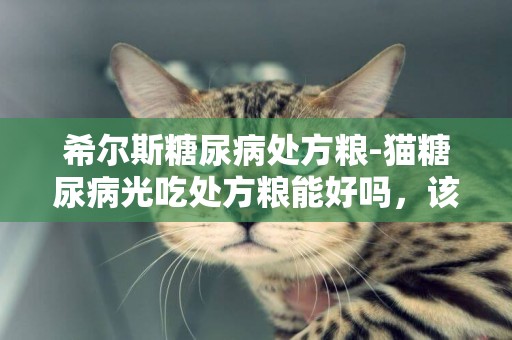 希尔斯糖尿病处方粮-猫糖尿病光吃处方粮能好吗，该不该住院打胰岛素？