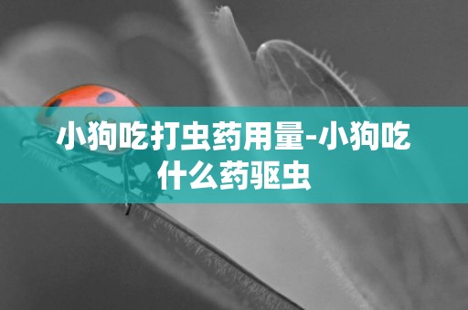 小狗吃打虫药用量-小狗吃什么药驱虫