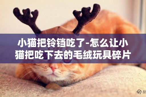 小猫把铃铛吃了-怎么让小猫把吃下去的毛绒玩具碎片吐出来