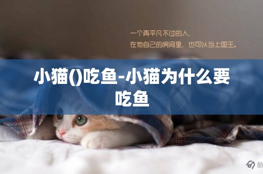 小猫()吃鱼-小猫为什么要吃鱼