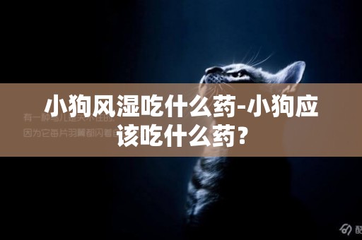 小狗风湿吃什么药-小狗应该吃什么药？