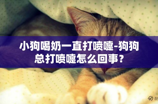 小狗喝奶一直打喷嚏-狗狗总打喷嚏怎么回事？