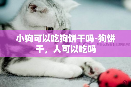 小狗可以吃狗饼干吗-狗饼干，人可以吃吗