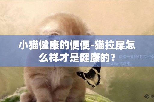 小猫健康的便便-猫拉屎怎么样才是健康的？