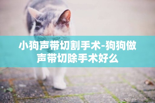 小狗声带切割手术-狗狗做声带切除手术好么