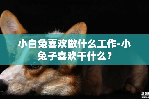 小白兔喜欢做什么工作-小兔子喜欢干什么？