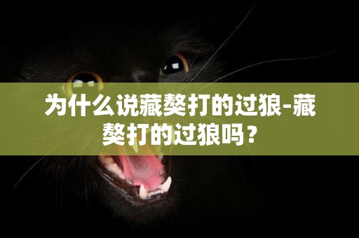 为什么说藏獒打的过狼-藏獒打的过狼吗？