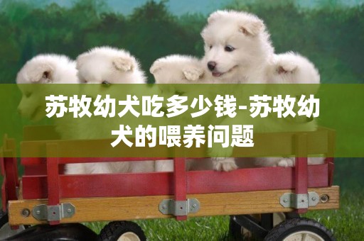 苏牧幼犬吃多少钱-苏牧幼犬的喂养问题