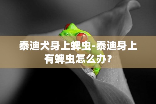 泰迪犬身上蜱虫-泰迪身上有蜱虫怎么办？