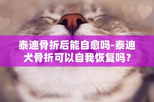 泰迪骨折后能自愈吗-泰迪犬骨折可以自我恢复吗？