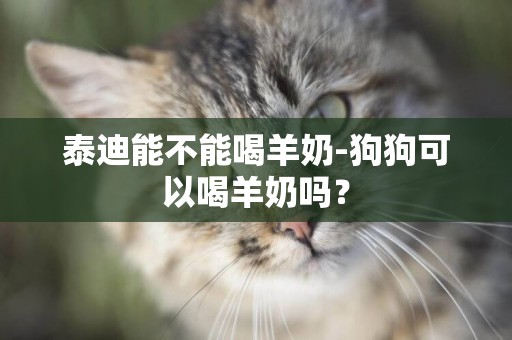 泰迪能不能喝羊奶-狗狗可以喝羊奶吗？