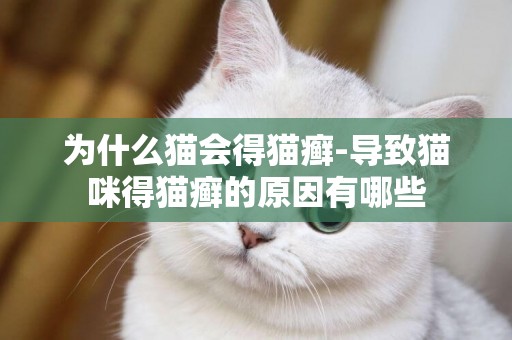 为什么猫会得猫癣-导致猫咪得猫癣的原因有哪些