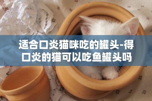 适合口炎猫咪吃的罐头-得口炎的猫可以吃鱼罐头吗