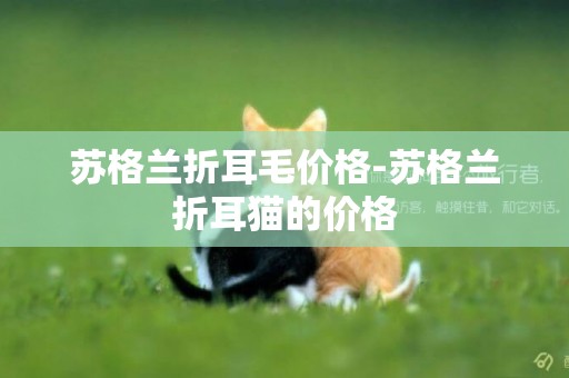 苏格兰折耳毛价格-苏格兰折耳猫的价格