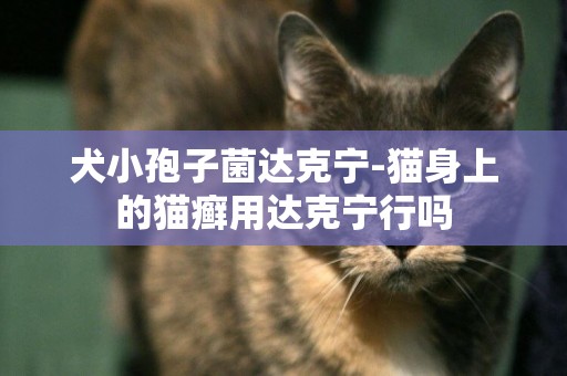 犬小孢子菌达克宁-猫身上的猫癣用达克宁行吗