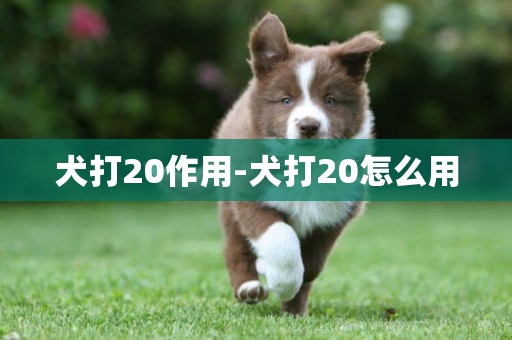 犬打20作用-犬打20怎么用