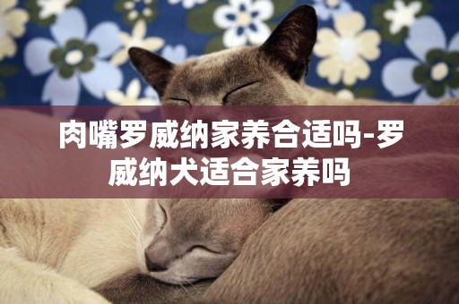 肉嘴罗威纳家养合适吗-罗威纳犬适合家养吗