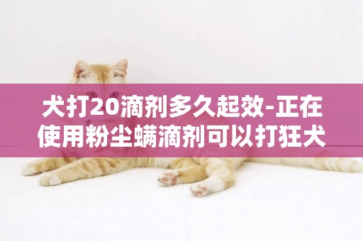 犬打20滴剂多久起效-正在使用粉尘螨滴剂可以打狂犬疫苗吗？