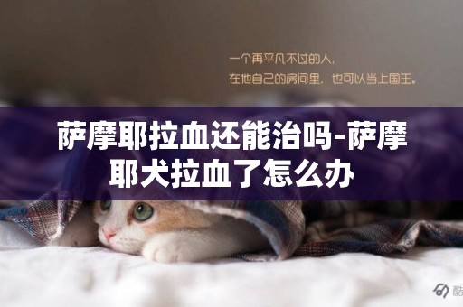 萨摩耶拉血还能治吗-萨摩耶犬拉血了怎么办