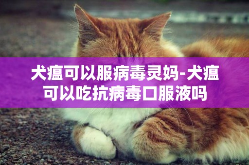 犬瘟可以服病毒灵妈-犬瘟可以吃抗病毒口服液吗