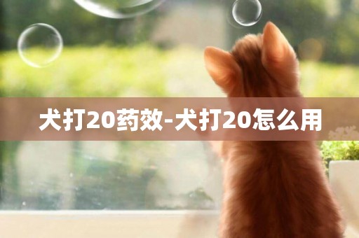 犬打20药效-犬打20怎么用