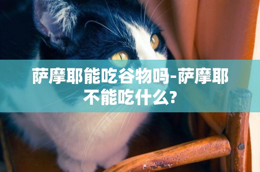 萨摩耶能吃谷物吗-萨摩耶不能吃什么?