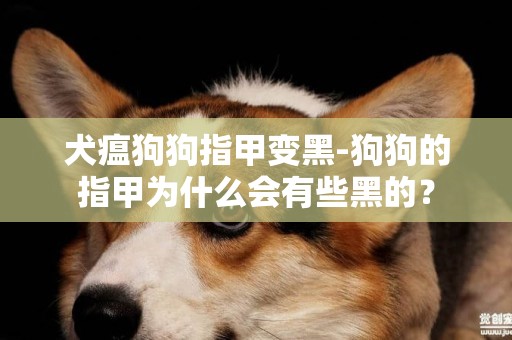 犬瘟狗狗指甲变黑-狗狗的指甲为什么会有些黑的？