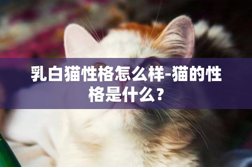 乳白猫性格怎么样-猫的性格是什么？