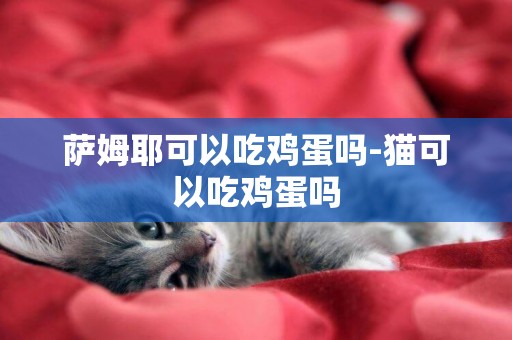 萨姆耶可以吃鸡蛋吗-猫可以吃鸡蛋吗