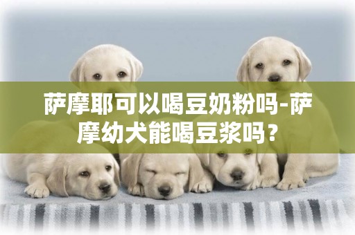 萨摩耶可以喝豆奶粉吗-萨摩幼犬能喝豆浆吗？