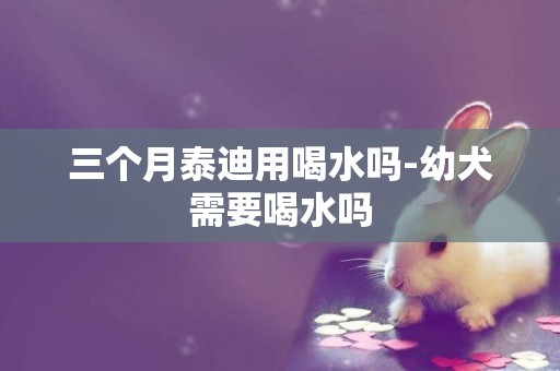 三个月泰迪用喝水吗-幼犬需要喝水吗