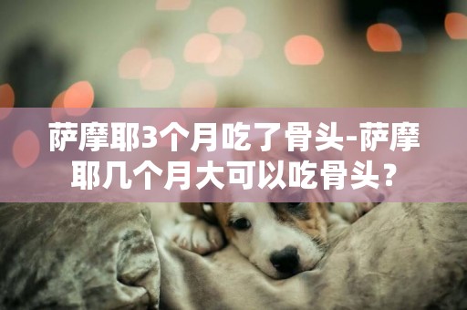 萨摩耶3个月吃了骨头-萨摩耶几个月大可以吃骨头？