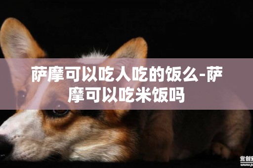 萨摩可以吃人吃的饭么-萨摩可以吃米饭吗