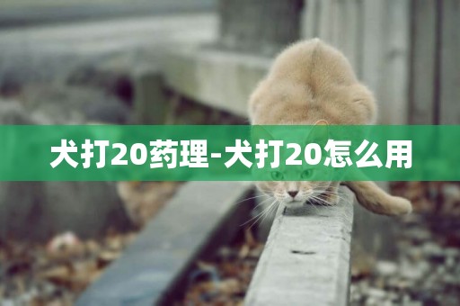 犬打20药理-犬打20怎么用