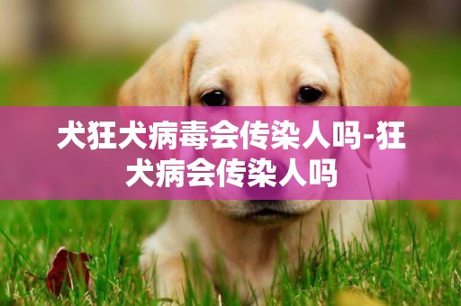 犬狂犬病毒会传染人吗-狂犬病会传染人吗